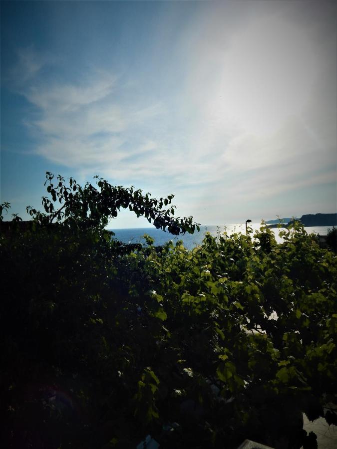 Vila Teodora Sveti Stefan Buitenkant foto
